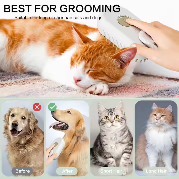 Brosse de Massage Électrique 3 en 1 pour Chat